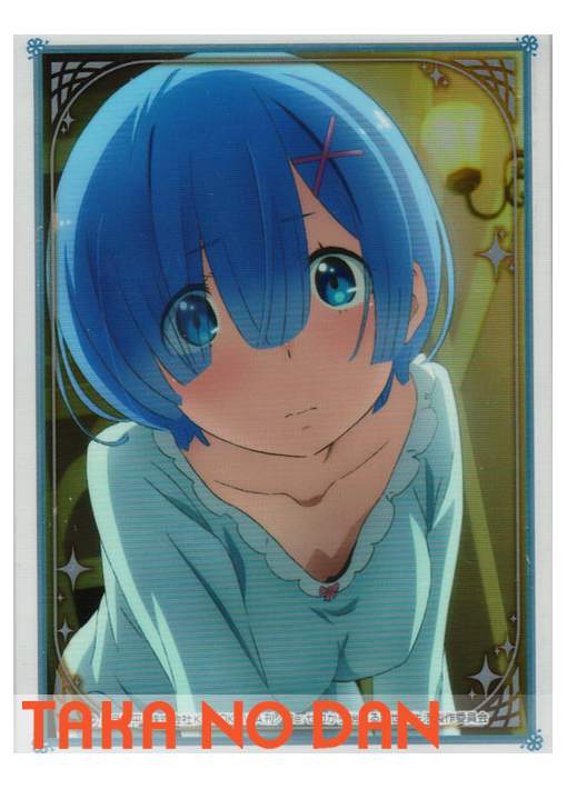 80 Protectores Estandar Rem ver. C - Re:ZERO