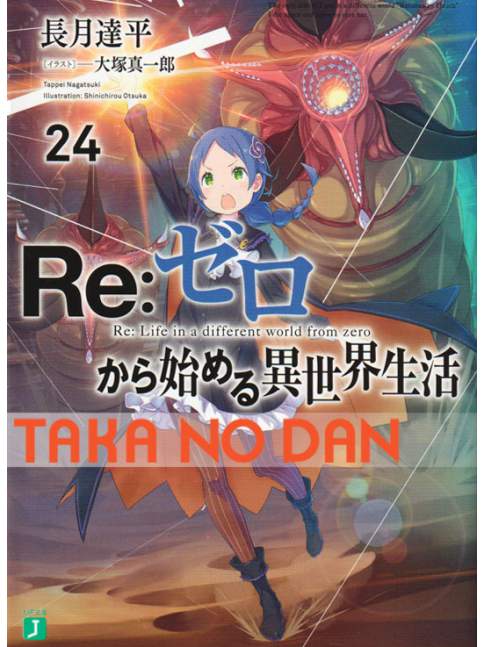 Light Novel Re: Zero Kara Hajimeru Isekai Seikatsu Vol.24