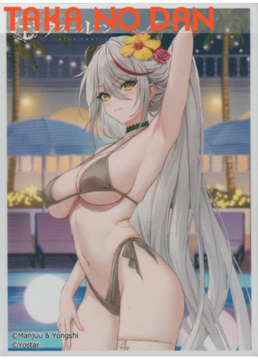 65 Protectores Estandar Agir Night Pool - Azur Lane